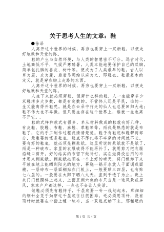 关于思考人生的文章鞋