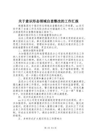 关于意识形态领域自查整改的工作汇报