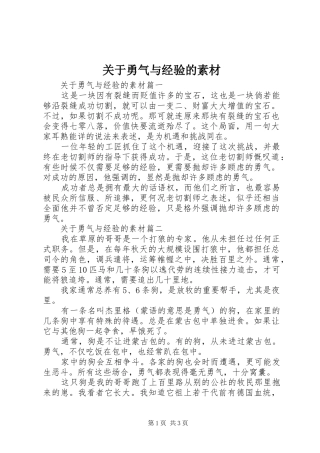 关于勇气与经验的素材