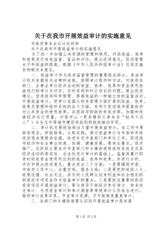 关于在我市开展效益审计的实施意见