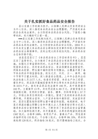 关于扎实抓好食品药品安全报告