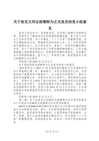 关于张克文同志按期转为正式党员的党小组意见