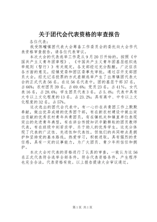 关于团代会代表资格的审查报告