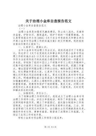关于治理小金库自查报告范文