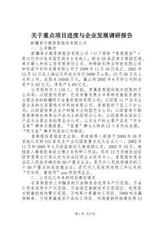 关于重点项目进度与企业发展调研报告