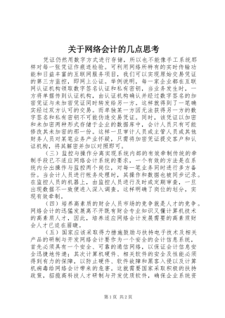 关于网络会计的几点思考