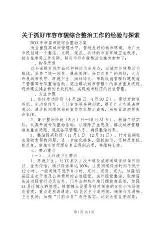 关于抓好市容市貌综合整治工作的经验与探索