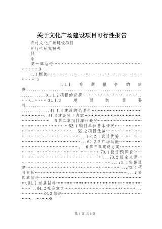 关于文化广场建设项目可行性报告