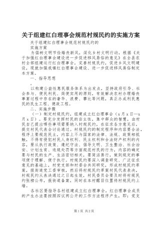 关于组建红白理事会规范村规民约的实施方案