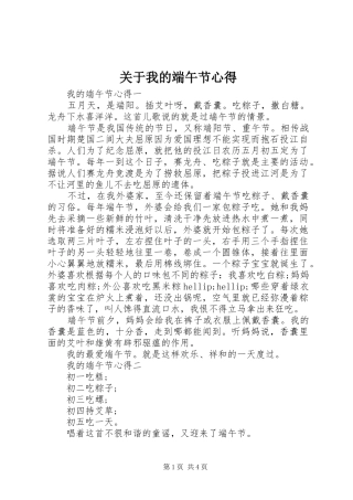 关于我的端午节心得