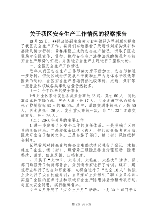 关于我区安全生产工作情况的视察报告