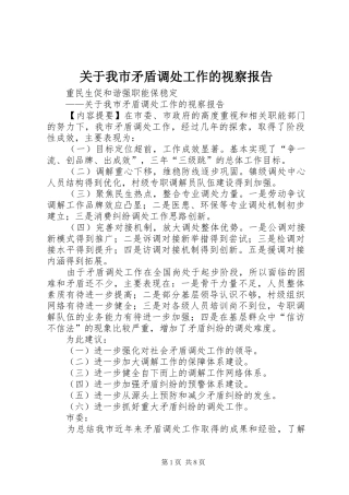 关于我市矛盾调处工作的视察报告