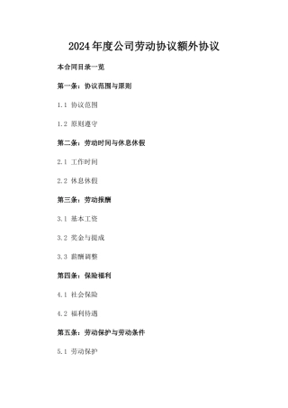 2024年度公司劳动协议额外协议