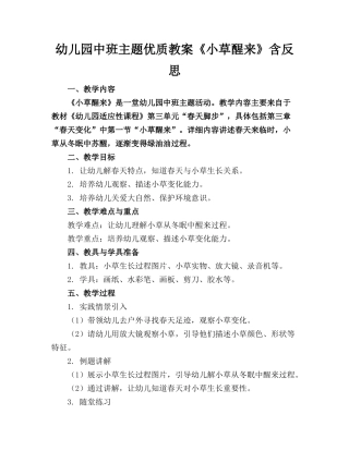 幼儿园中班主题优质教案《小草醒来了》含反思
