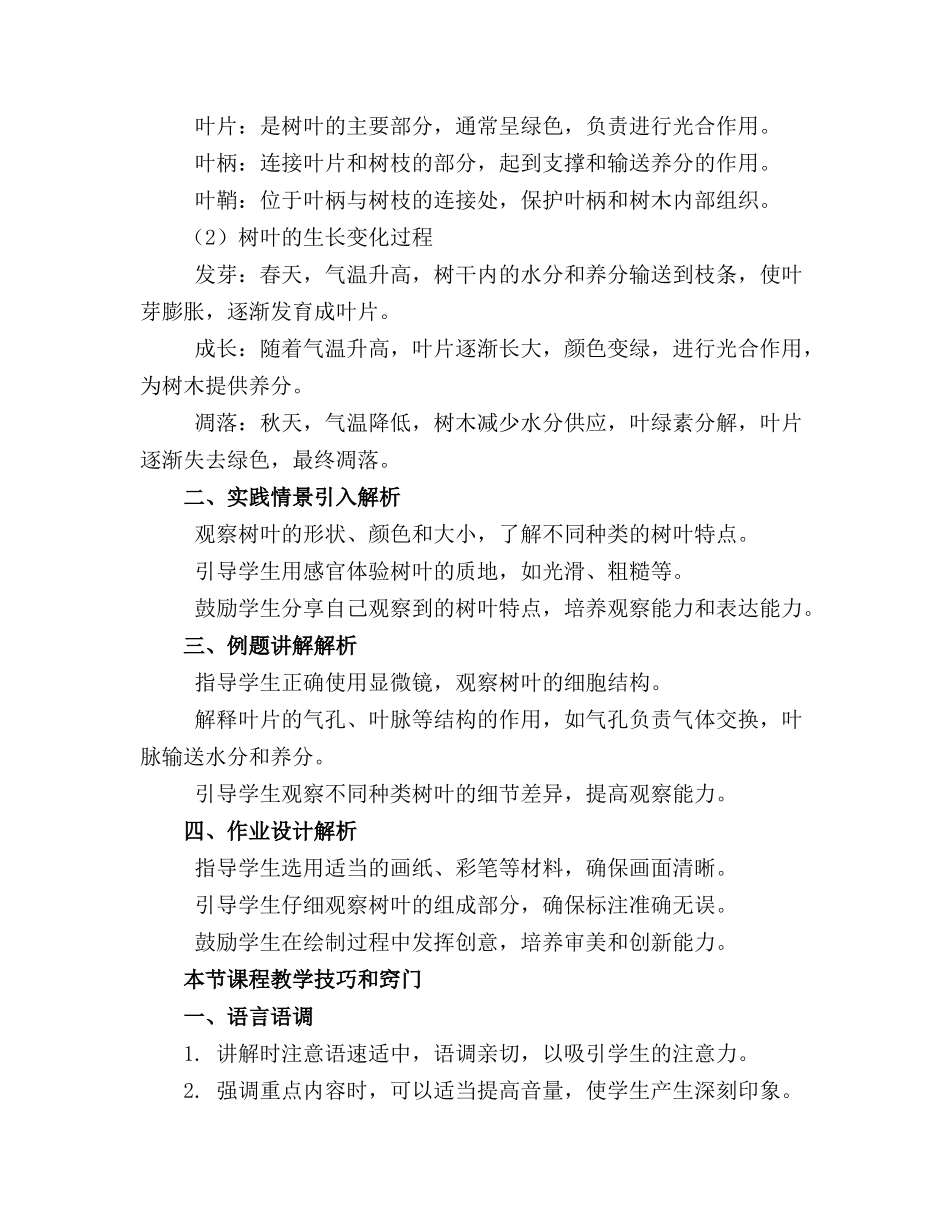 2024年大班科学教案之小树叶_第3页