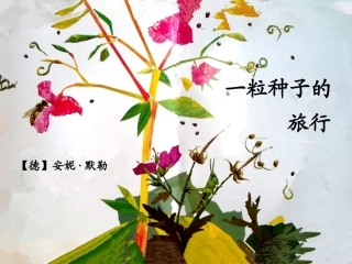 (完整版)一粒种子的旅行