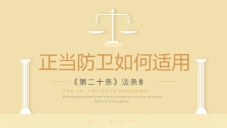 《第二十条》法条解析