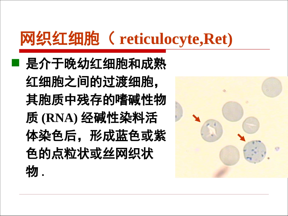 《网织红细胞计数》课件_第3页