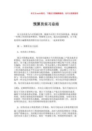 【优质】预算员实习总结