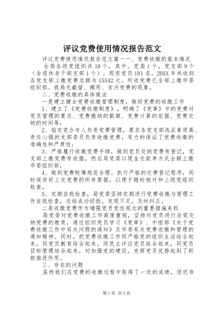 评议党费使用情况报告范文
