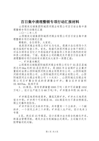 百日集中清理整顿专项行动汇报材料