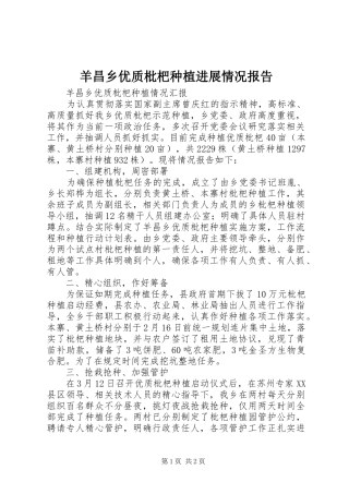 羊昌乡优质枇杷种植进展情况报告