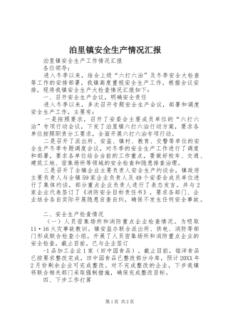 泊里镇安全生产情况汇报