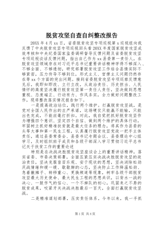 脱贫攻坚自查自纠整改报告