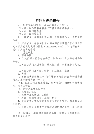 野渡自查的报告