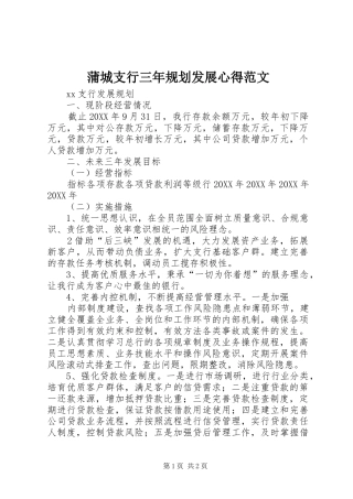 蒲城支行三年规划发展心得范文