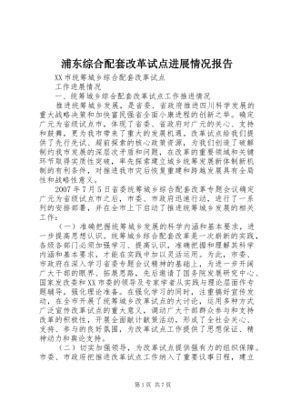 浦东综合配套改革试点进展情况报告