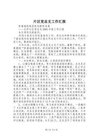 片区党总支工作汇报