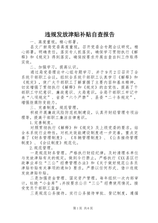 违规发放津贴补贴自查报告