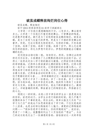 破茧成蝶释放绚烂岗位心得