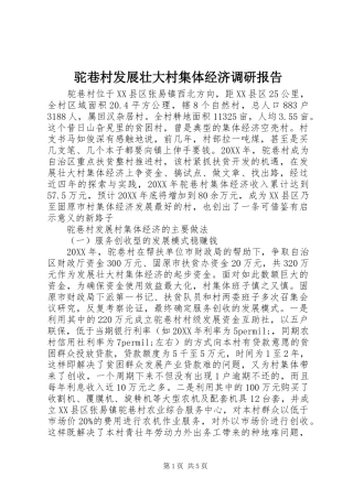 驼巷村发展壮大村集体经济调研报告