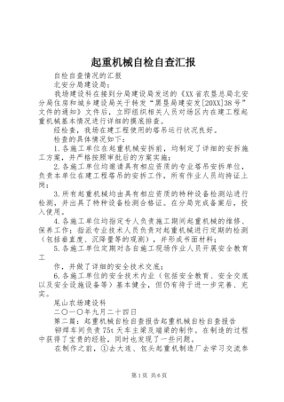 起重机械自检自查汇报