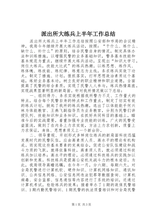 派出所大练兵上半年工作总结