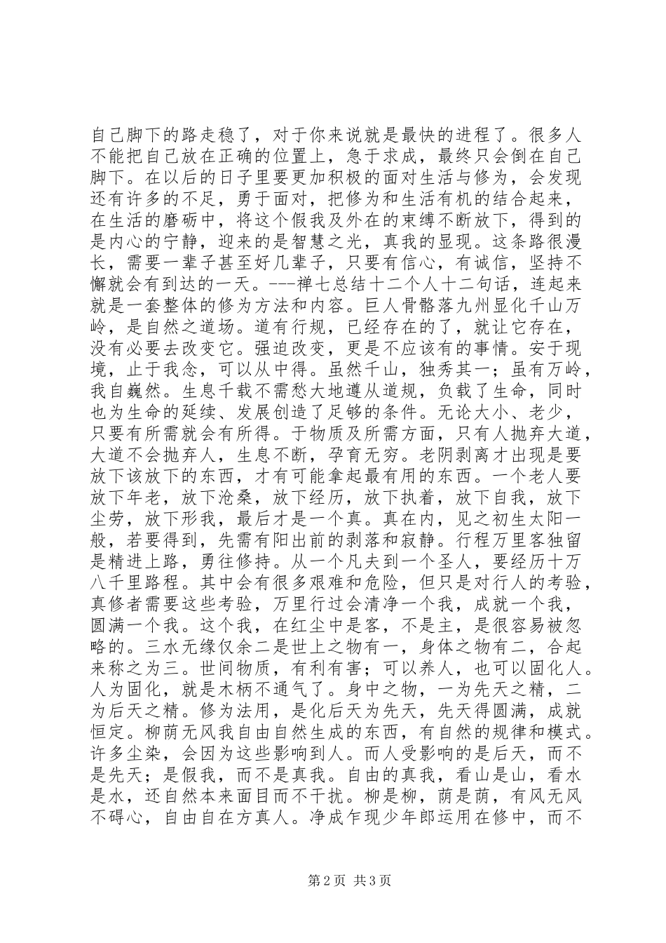 网上禅七总结心得个人工作总结_第2页