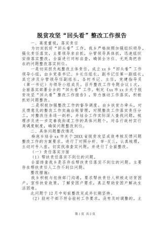脱贫攻坚回头看整改工作报告
