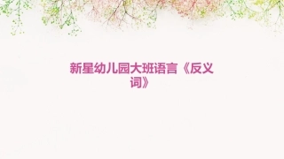 新星幼儿园大班语言《反义词》