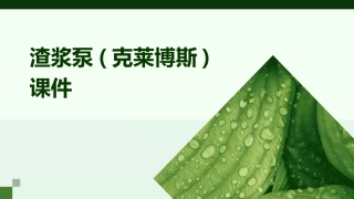 渣浆泵(克莱博斯)课件