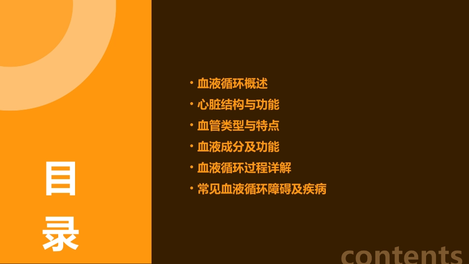 人体的血液循环课件_第2页