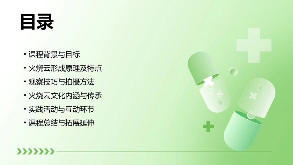 2024年火烧云教案设计优秀教案x_第2页