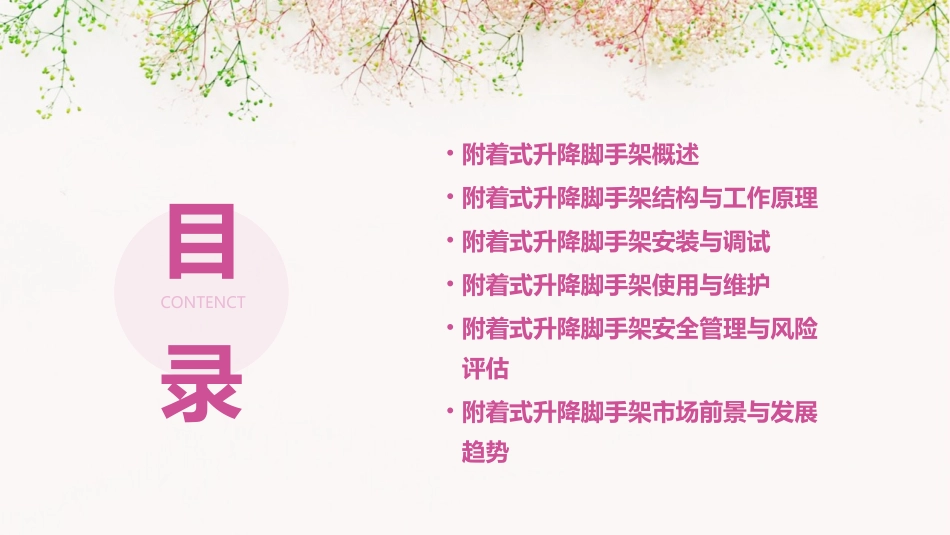 附着式升降脚手架专项培训_第2页