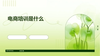电商培训是什么