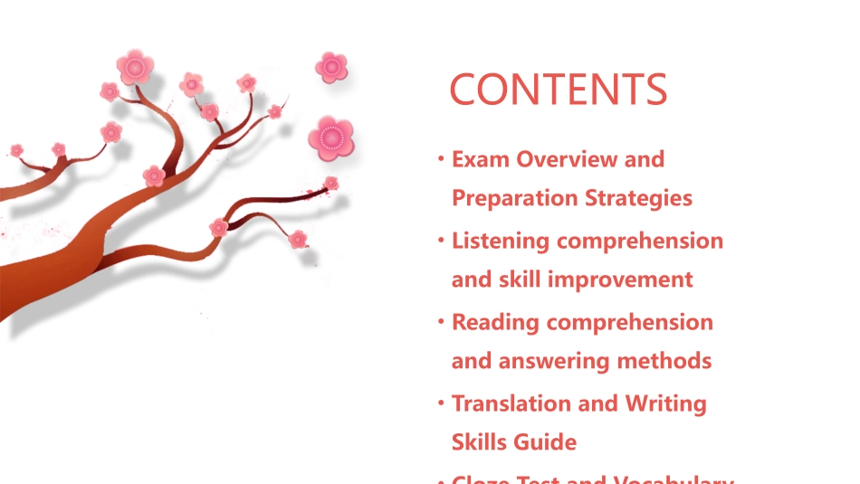 大学英语四级冲刺辅导_第2页