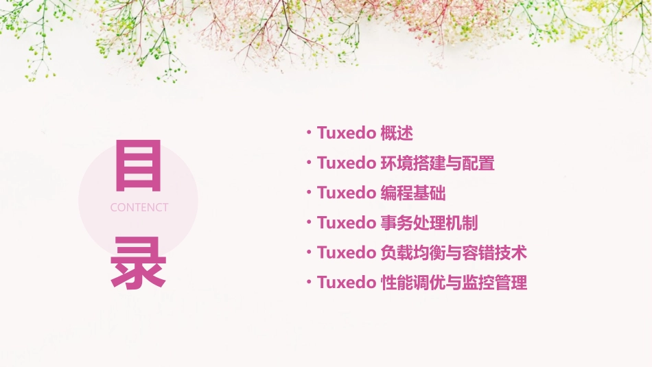 Tuxedo入门学习_第2页