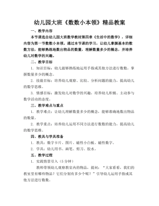 幼儿园大班《数数小本领》精品教案