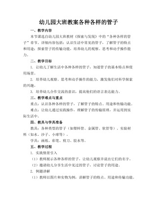 幼儿园大班教案各种各样的管子
