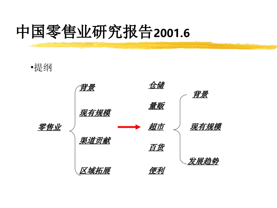 中国零售业研究报告_第2页